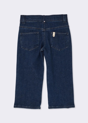  77951 DEN.BLUE